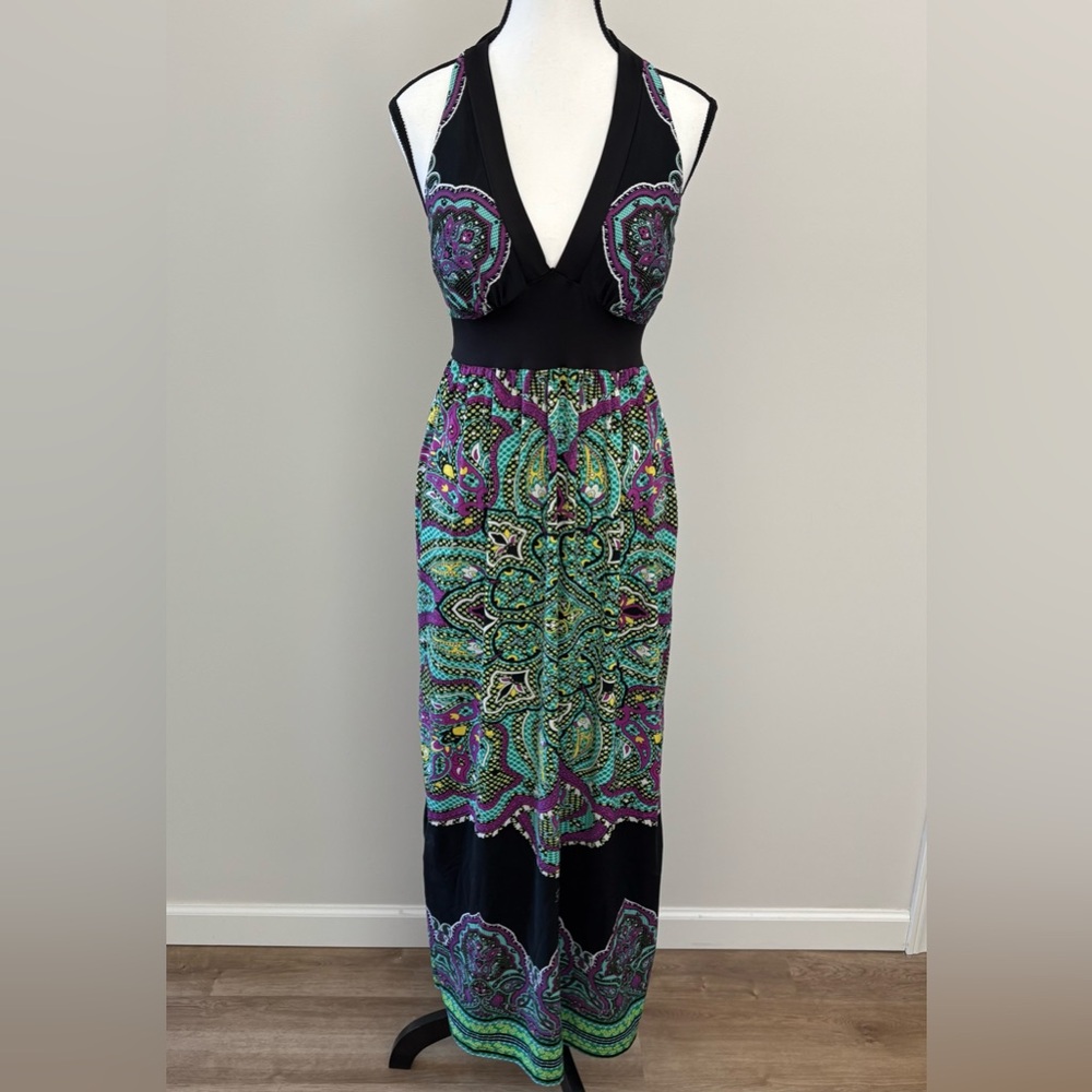 Alyn Paige Maxi Dress